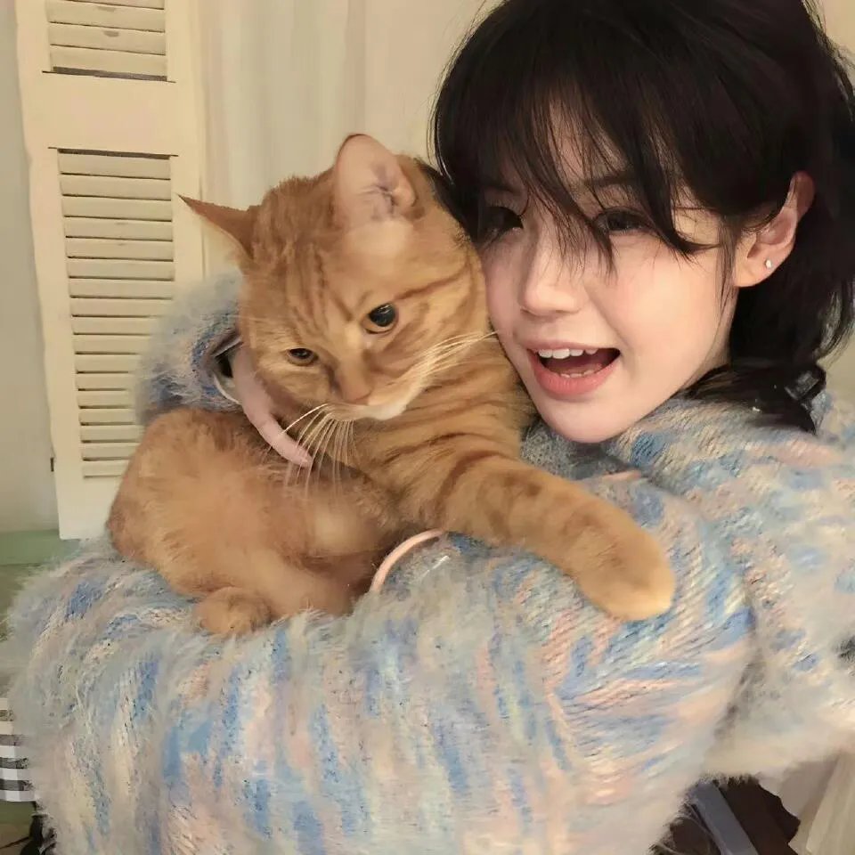 猛龙征东
